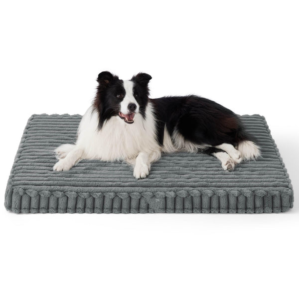 Cuccia Memory Foam per Cani Grande