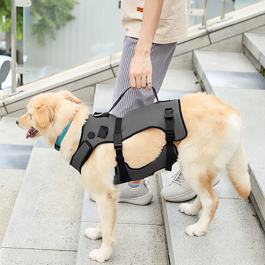 Supporto per Cani con Zampe Posteriori Deboli