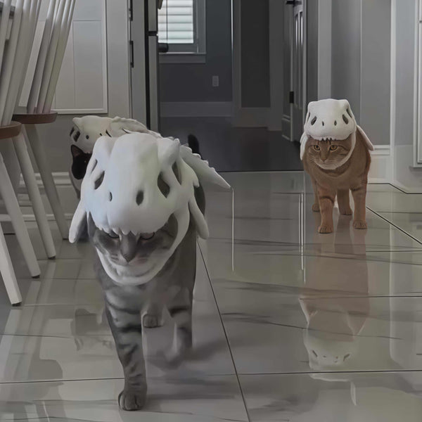 Giocattoli Peluche Cappello per Animali