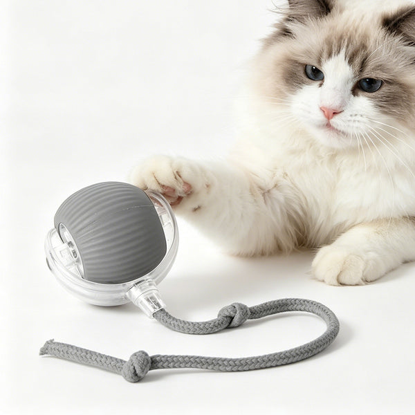 Palla interattiva intelligente per cani e gatti