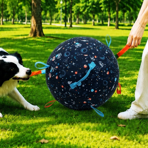 Palla Gonfiabile Addestramento Cani