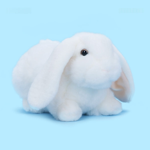 Peluche Coniglio Orecchie Morbide